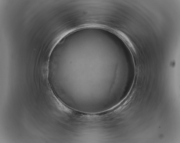 X0000095521244200712141439