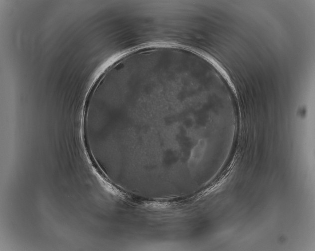 X0000095521245200712141439