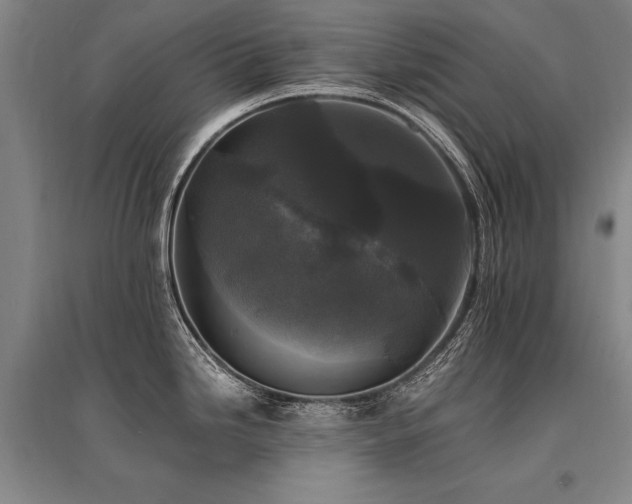 X0000095521246200712141439