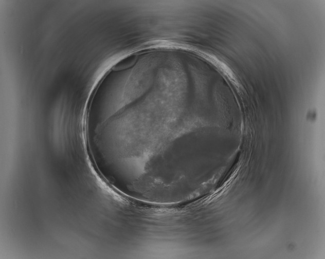 X0000095521247200712141439