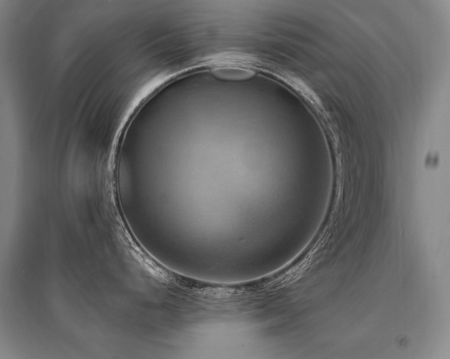 X0000095521248200712141439