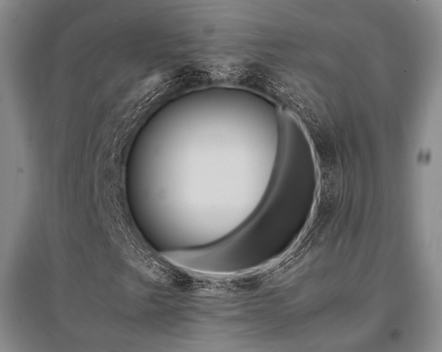 X0000095521249200712141438