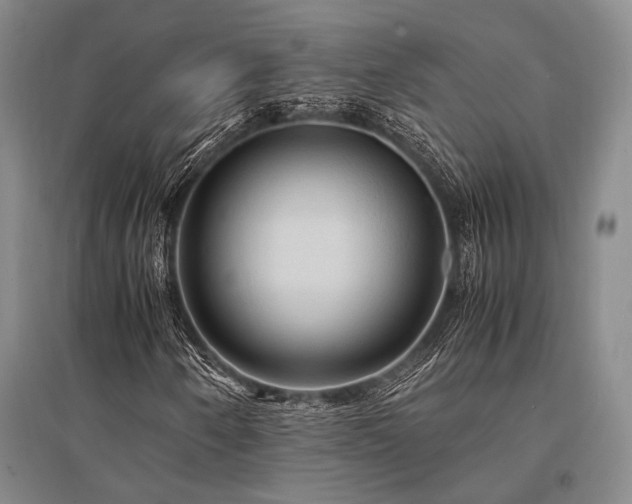 X0000095521250200712141438