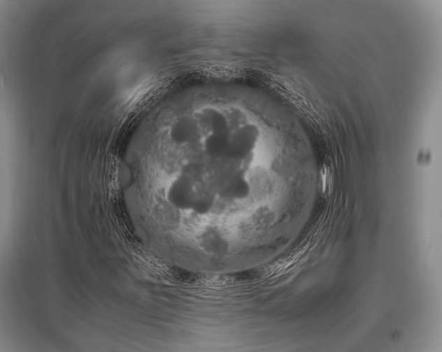 X0000095521251200712141438