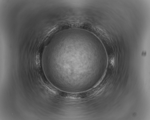 X0000095521252200712141438