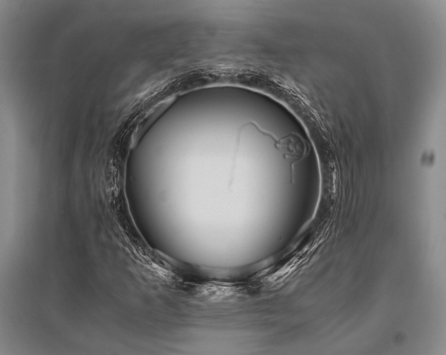 X0000095521253200712141438
