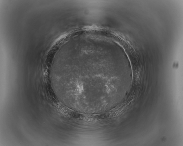 X0000095521254200712141438