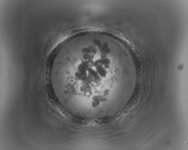 X0000095521255200712141438