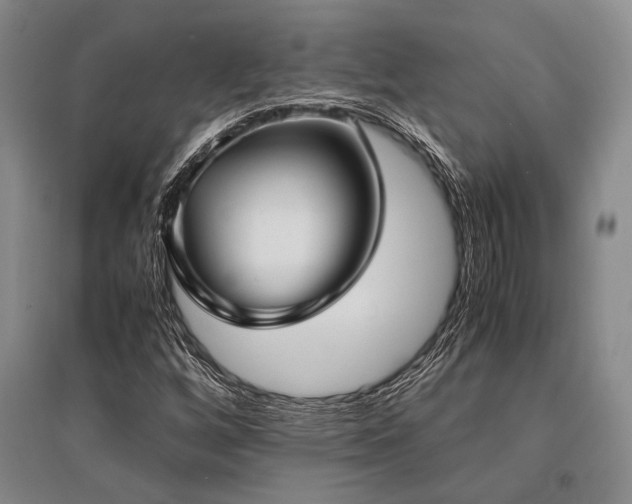 X0000095521256200712141438
