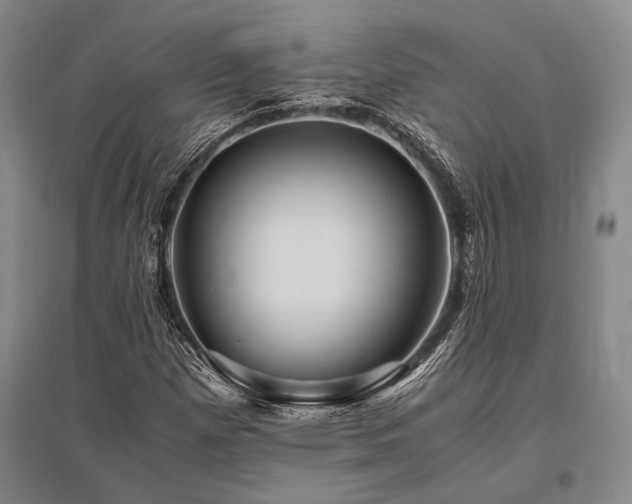 X0000095521257200712141438