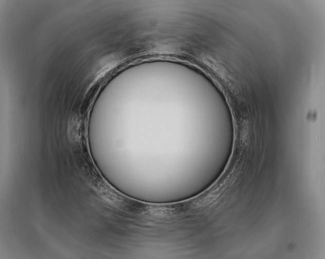 X0000095521258200712141438
