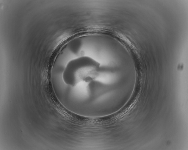 X0000095521259200712141438