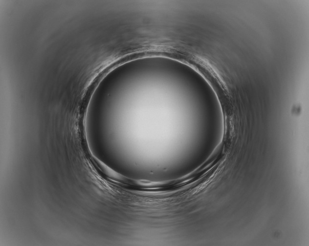 X0000095521260200712141438