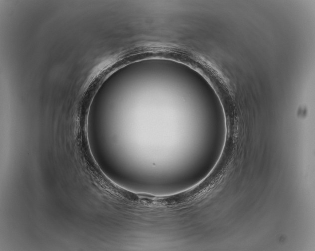 X0000095521261200712141438