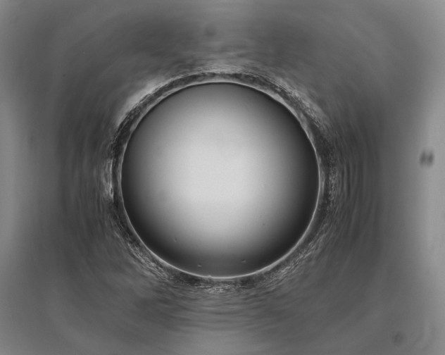 X0000095521262200712141438