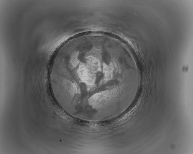 X0000095521263200712141438