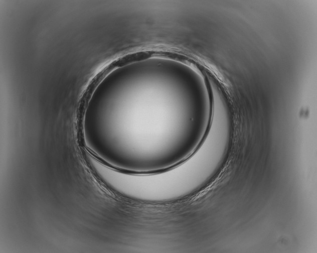 X0000095521264200712141438