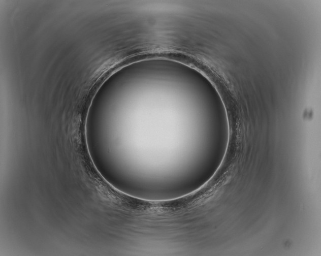X0000095521265200712141438