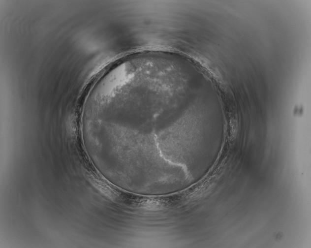 X0000095521266200712141438