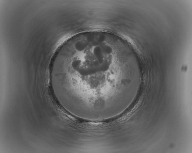 X0000095521267200712141438