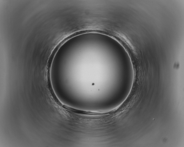 X0000095521268200712141438
