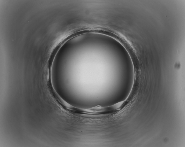 X0000095521269200712141438