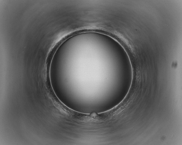 X0000095521270200712141438
