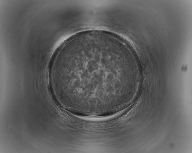 X0000095521271200712141438