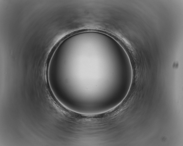 X0000095521272200712141438