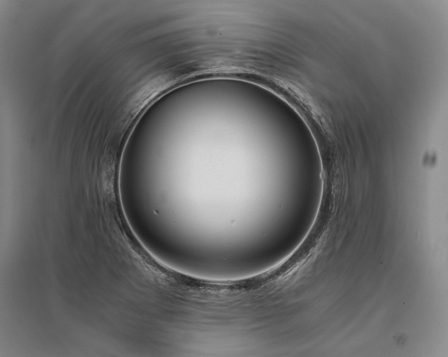 X0000095521273200712141438