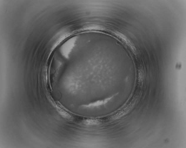 X0000095521274200712141438