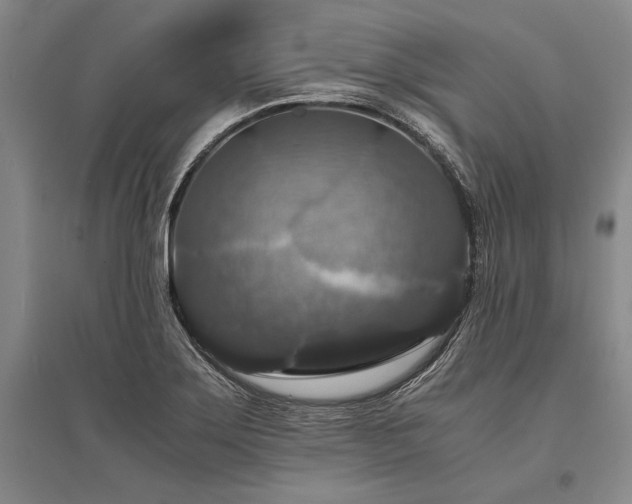 X0000095521275200712141438