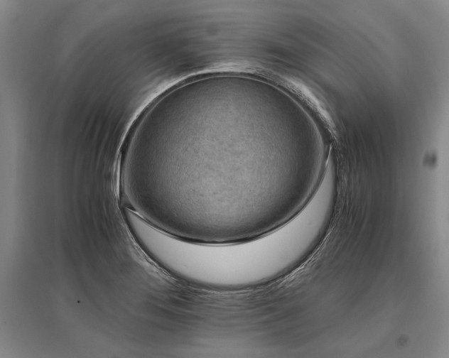 X0000095521276200712141438