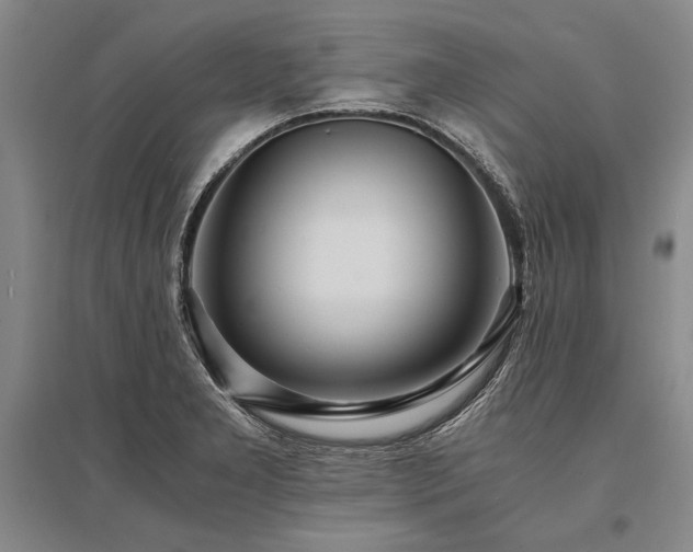 X0000095521277200712141438