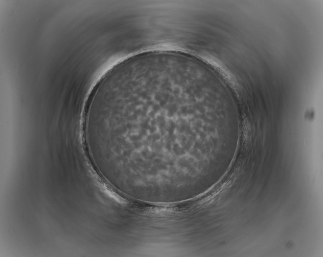 X0000095521278200712141438