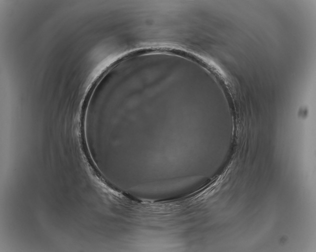 X0000095521279200712141438