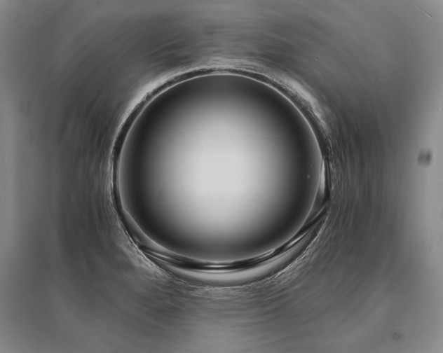 X0000095521280200712141438