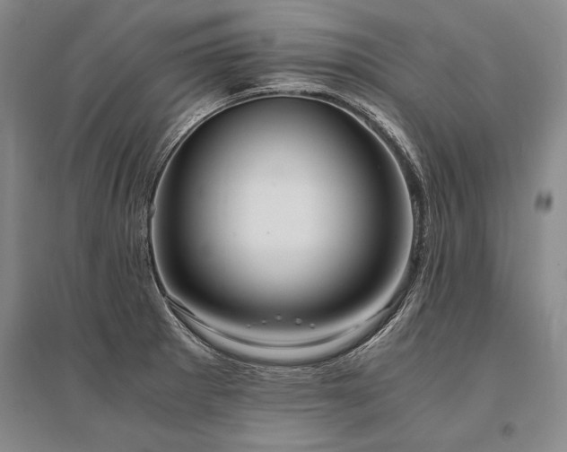 X0000095521281200712141438