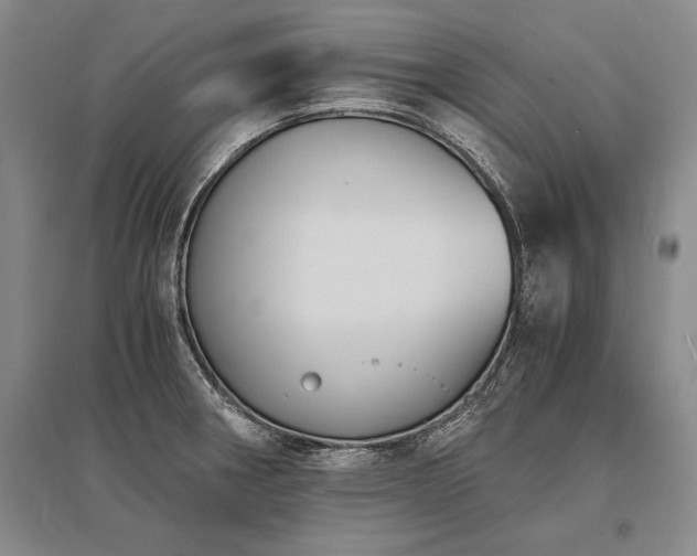 X0000095521282200712141438
