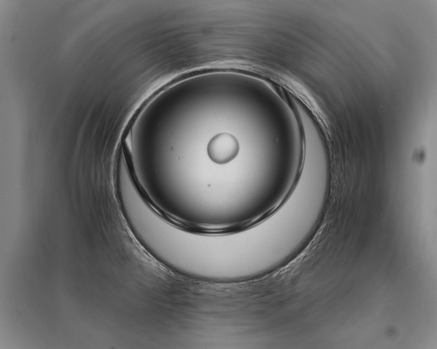X0000095521284200712141438