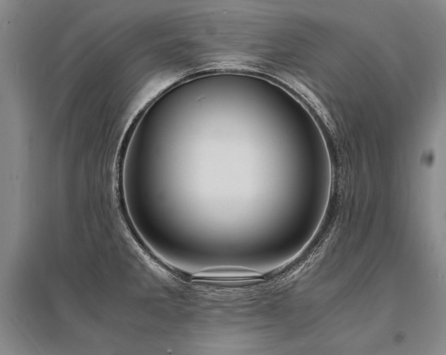 X0000095521285200712141438