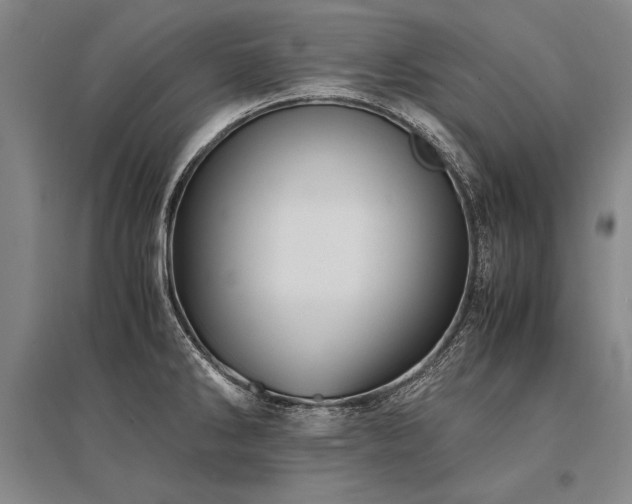 X0000095521286200712141438