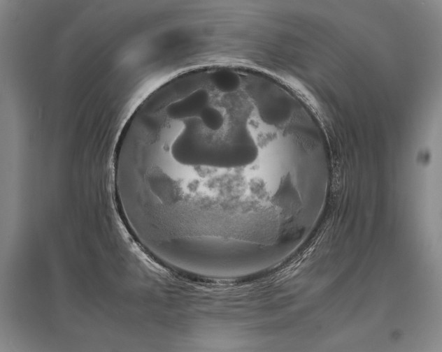 X0000095521287200712141438