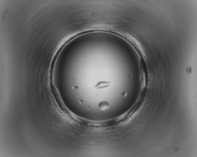 X0000095521288200712141438