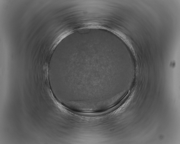 X0000095521289200712141438