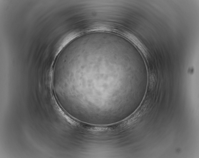 X0000095521290200712141438