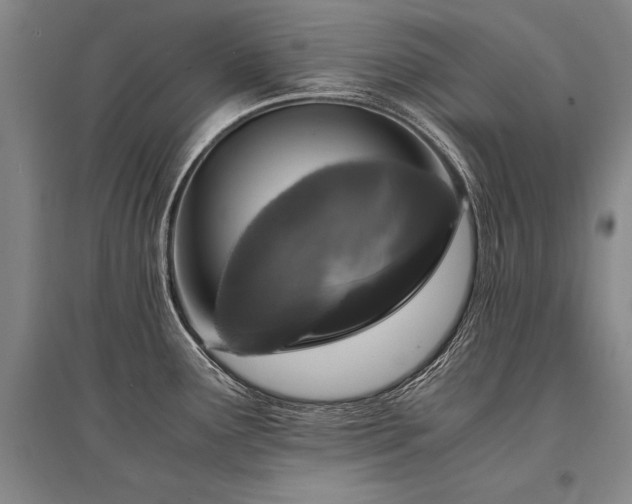 X0000095521291200712141438