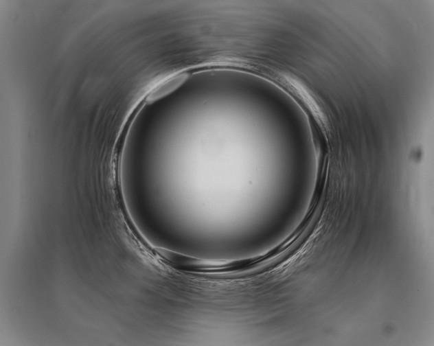 X0000095521292200712141438