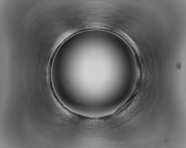 X0000095521293200712141438