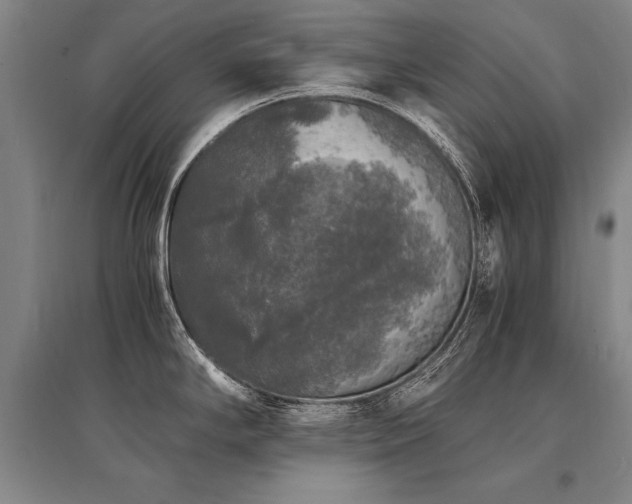 X0000095521294200712141438